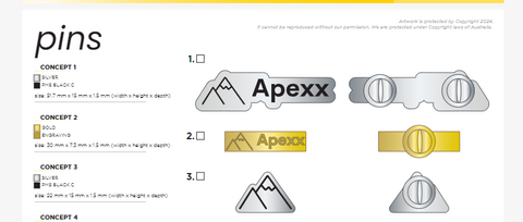 Apexx Engineering Consultants - Lapel pins