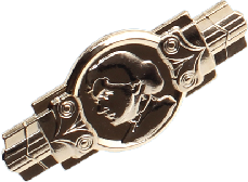 3D pins Image